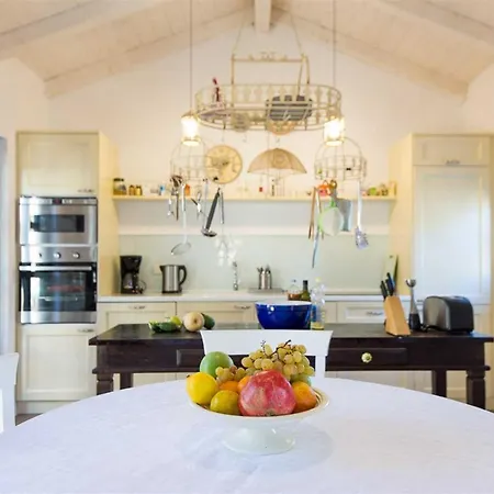 House Mint Ii With Full Privacy Bajcici